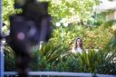 Wanessa_Anestesia_40.jpg